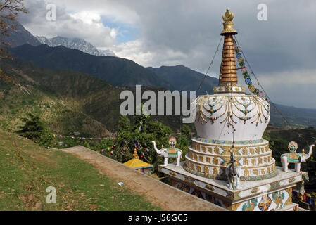 Stupa in der Nähe der Tsuglagkhang complex in McLeod Ganj, Himachal Pradesh. Stockfoto