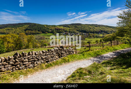 Satterthwaite, im Tiefland-Tal in der Nähe von Grizedale Forest, in der Nähe von Hawkshead, Lake District, Cumbria Stockfoto