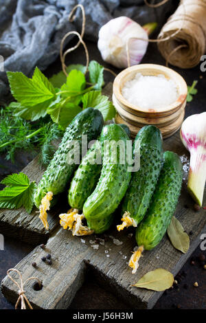 Hausgemachte Konserven Gemüse. Erhaltung der frische und eingelegte Gurken, Knoblauch und Gewürze auf dem Küchentisch. Stockfoto