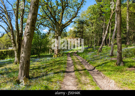 Parcevall Hall Gardens, in der Nähe von Appletreewick, Wharfedale, Yorkshire Dales National Park, North Yorkshire, England, UK Stockfoto