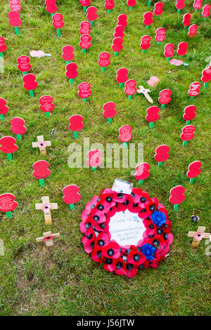 Mohn anlässlich der Centenery von der Schlacht an der Somme bei Thiepval-Denkmal, eine massive Denkmal zum Gedenken an die 72.000 fehlt Soldaten wer d Stockfoto