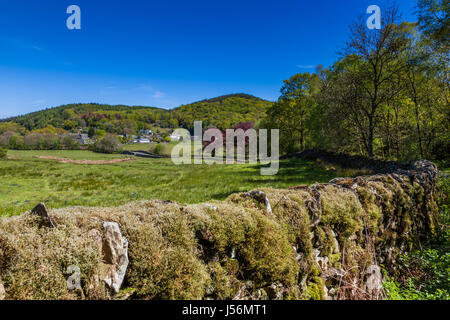 Satterthwaite, im Tiefland-Tal in der Nähe von Grizedale Forest, in der Nähe von Hawkshead, Lake District, Cumbria Stockfoto