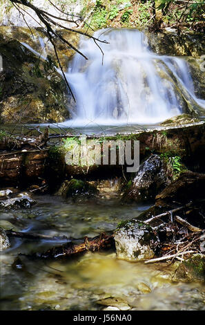 fließend Elementarereignis Urlaub Urlaub Urlaub Urlaub grüne Nationalpark wandern Stockfoto