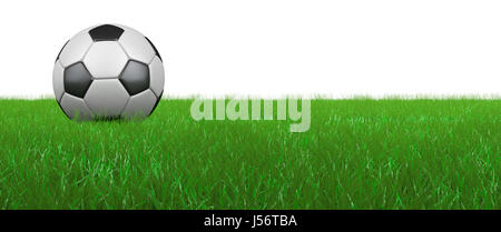 Fußball auf dem Rasen, auf einem weißen Hintergrund. 3D Render. Stockfoto