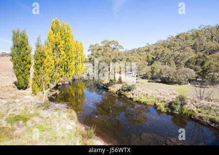 Thredbo Fluss im Herbst Stockfoto