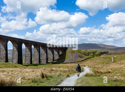 Walker auf Fußweg durch den Ribblehead-Viadukt, Yorkshire Dales National Park, North Yorkshire, England, UK Stockfoto