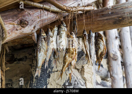 Gesalzene Flussfisch Trocknung an einem Seil Stockfoto