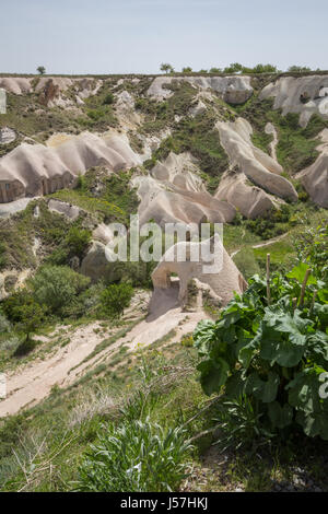 Ansicht des alten Taubental mit Höhle Häuser, Kappadokien, Nevsehir, Anatolien, Türkei. Frühling in einzigartiger Lage in der Türkei Stockfoto