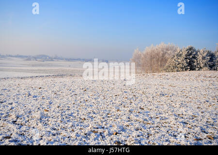 Trübe Winterlandschaft mit gefrorenen Felder und Wiesen. Polen, Woiwodschaft Świętokrzyskie. Stockfoto