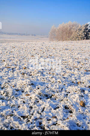 Trübe Winterlandschaft mit gefrorenen Felder und Wiesen. Polen, Woiwodschaft Świętokrzyskie. Stockfoto