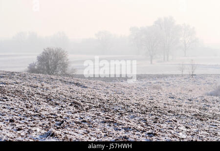 Ländliche dunstig und ruhige Winterlandschaft mit gepflügtes Feld. Bereich im Mittelpunkt. Polen, Woiwodschaft Świętokrzyskie. Stockfoto
