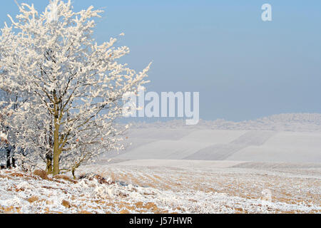 Trübe Winter ländlichen Landschaft mit gefrorenen Bäumen und gepflügten Felder. Polen, Woiwodschaft Świętokrzyskie. Stockfoto