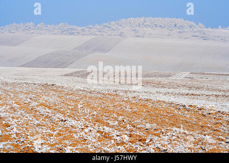 Trübe Winter ländlichen Landschaft mit gefrorenen gepflügten Felder. Polen, Woiwodschaft Świętokrzyskie. Stockfoto