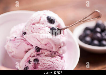 hausgemachtes Heidelbeeren und Joghurt Eis mit frischen Früchten Stockfoto