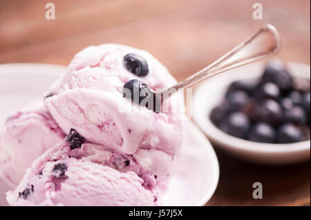 hausgemachtes Heidelbeeren und Joghurt Eis mit frischen Früchten Stockfoto