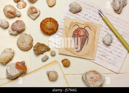 Nostalgische Vintage Stillleben mit Trilobit Zeichnung, Meeresfossilien und antiken Feder Stift über Alter Papierbögen Stockfoto