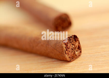 Zigarren auf Holzbrett. Nahaufnahme. Geringe Schärfentiefe. Stockfoto