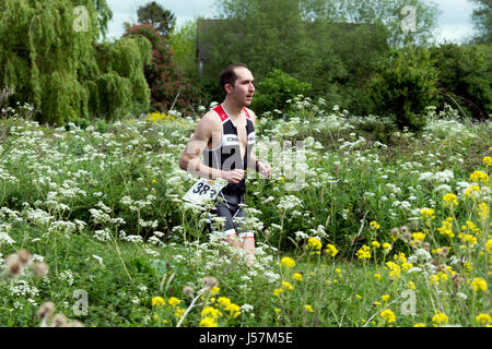 Mann läuft in Stratford Triathlon, Stratford-upon-Avon, Vereinigtes Königreich Stockfoto