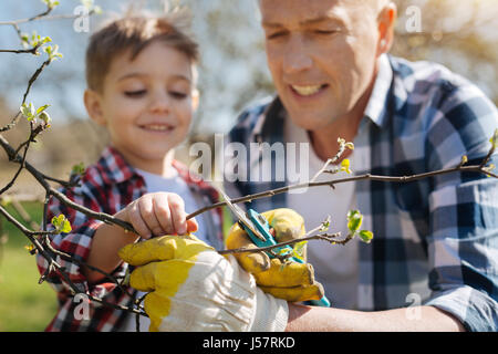 Porträt von Sohn und Vater BeschneidungObstbäume Stockfoto