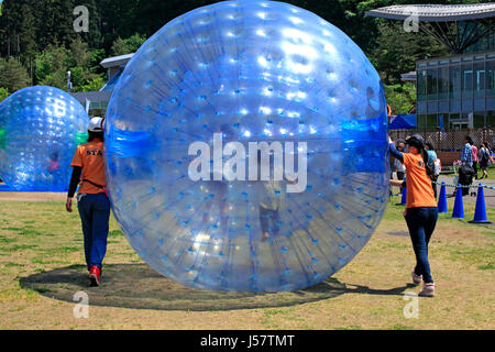 Zorbing in Echigo Hillside Park Nagaoka Stadt Niigata, Japan Stockfoto