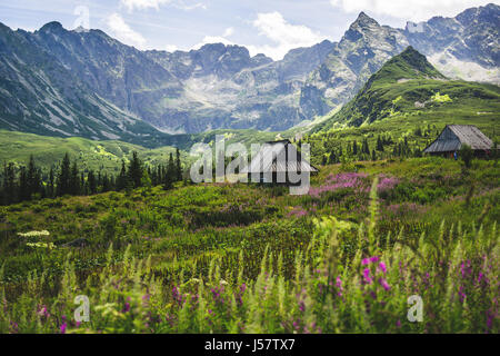 Holzhütten in der Hala Gasienicowa Gebirgstal in der polnischen Tatra. Stockfoto