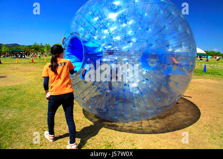 Zorbing in Echigo Hillside Park Nagaoka Stadt Niigata, Japan Stockfoto