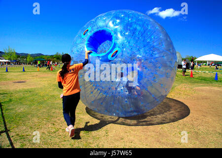 Zorbing in Echigo Hillside Park Nagaoka Stadt Niigata, Japan Stockfoto