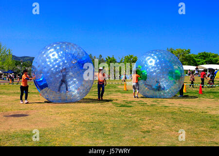 Zorbing in Echigo Hillside Park Nagaoka Stadt Niigata, Japan Stockfoto