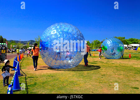 Zorbing in Echigo Hillside Park Nagaoka Stadt Niigata, Japan Stockfoto