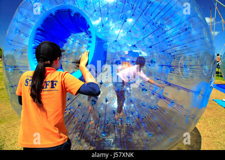 Zorbing in Echigo Hillside Park Nagaoka Stadt Niigata, Japan Stockfoto