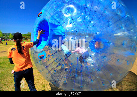 Zorbing in Echigo Hillside Park Nagaoka Stadt Niigata, Japan Stockfoto