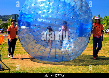 Zorbing in Echigo Hillside Park Nagaoka Stadt Niigata, Japan Stockfoto