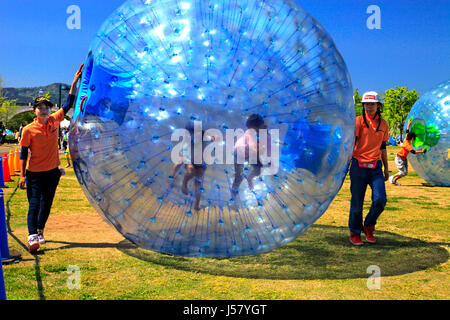 Zorbing in Echigo Hillside Park Nagaoka Stadt Niigata, Japan Stockfoto