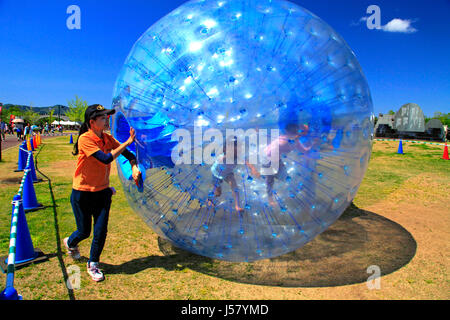 Zorbing in Echigo Hillside Park Nagaoka Stadt Niigata, Japan Stockfoto