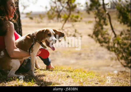 Junge Haustier Hunderassen Beagle spazieren im Park im Freien. Frau sorgfältig Welpen, Theateraufführungen und Tranitsiruetsya geht, sitzt mit Haustier in einer Umarmung unter Baum o Stockfoto