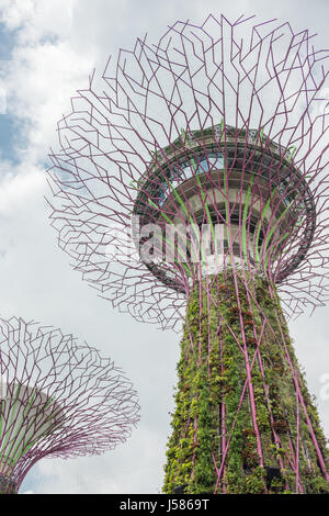 Editorial: Singapur, 1. April 2017 - Blick auf einem Supertree in den Gärten an der Bucht mit üppiger vegetation Stockfoto
