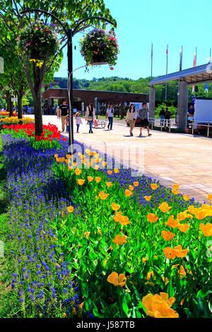 Bürgersteig Tulip Bett Echigo Hillside Park Nagaoka Stadt Niigata, Japan Stockfoto