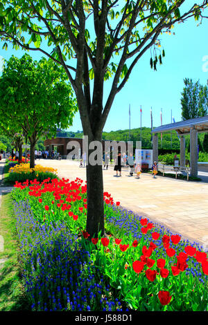 Bürgersteig Tulip Bett Echigo Hillside Park Nagaoka Stadt Niigata, Japan Stockfoto