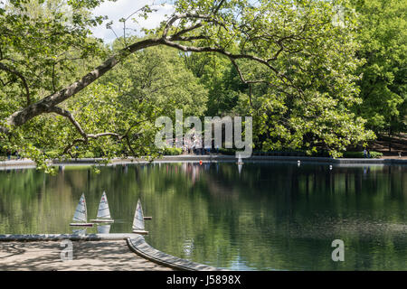 Wintergarten Wasser im Central Park, New York City, USA Stockfoto