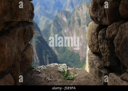 Blume fand, ruht auf einem Fensterbrett Machu Picchu. Stockfoto