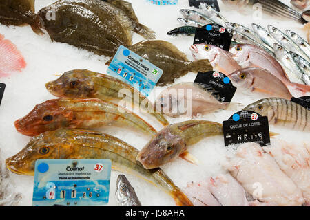 Meer Fischmarkt zum Verkauf in Narbonne Les Halles, Languedoc, Frankreich. Stockfoto