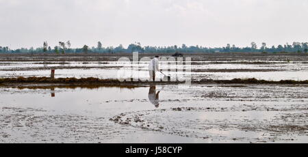 Bauer bei der Arbeit, Provinz Vinh Long, Vietnam Stockfoto