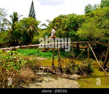 Landwirt über eine hölzerne Brücke, Provinz Vinh Long, Vietnam Stockfoto