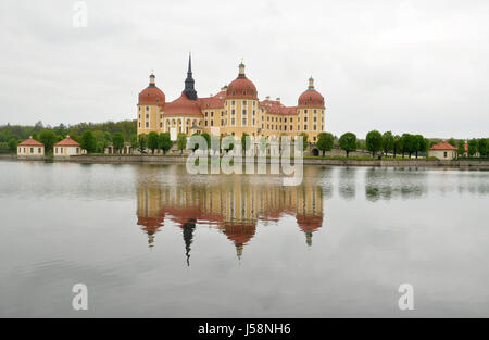 Schloss Moritzburg in Deutschland - Blick auf das Schloss, den Park und auf dem See mit schönen Redlection Burg und Bäume drin Stockfoto