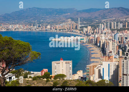 Benidorm, Costa Blanca, Provinz Alicante, Spanien.  Gesamtansicht mit Levante Strand Vordergrund und Poniente Strand im Hintergrund. Stockfoto