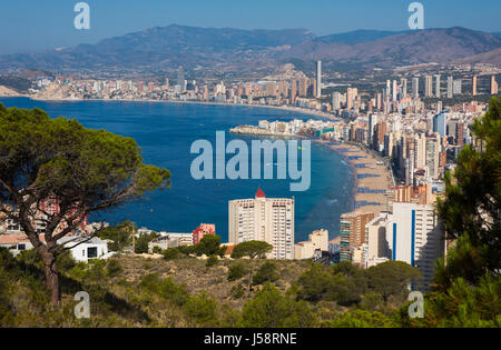 Benidorm, Costa Blanca, Provinz Alicante, Spanien.  Gesamtansicht mit Levante Strand Vordergrund und Poniente Strand im Hintergrund. Stockfoto