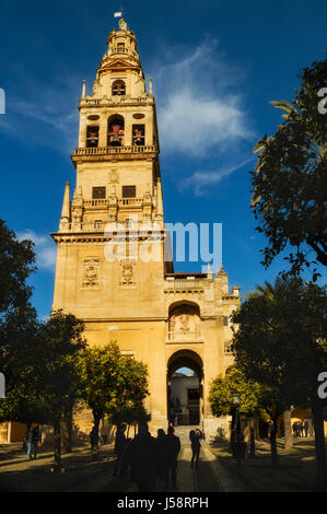 Cordoba, Provinz Córdoba, Andalusien, Südspanien. Torre del Alminar der großen Moschee von der Plaza de Los Naranjos gesehen. Das historische Zentrum o Stockfoto
