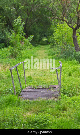 In der Nähe von Lake Balatan, County Zala, Ungarn.  Grasbewachsenen Feldweg mit wackeligen Holzbrücke. Stockfoto