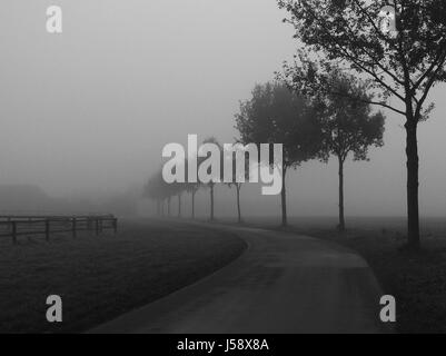 Novembernebel Stockfoto