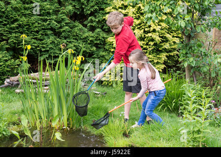 elf Jahre alten Jungen und vier Jahre altes Mädchen Teich eintauchen, Kaulquappen und andere Wildtiere in einem Netz in einem Gartenteich zu fangen versuchen. Sussex, UK. Mai. Stockfoto